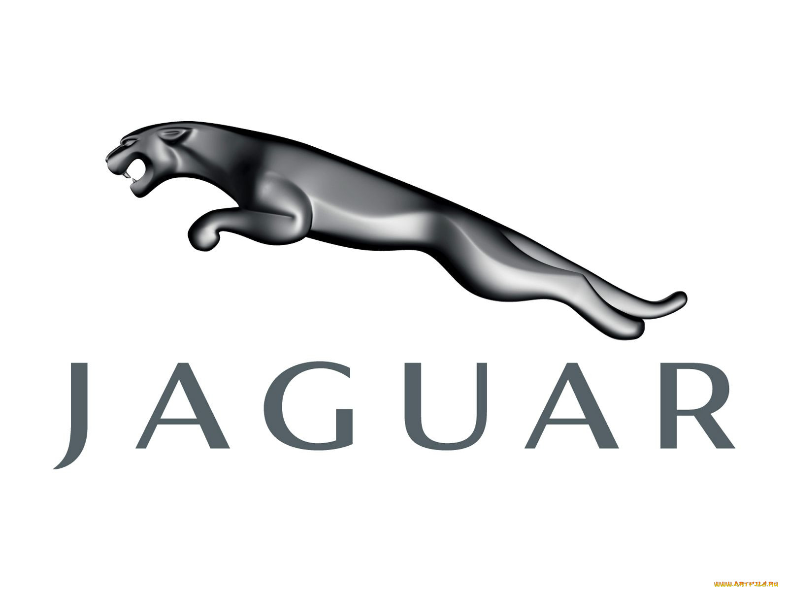 jaguar, , , 
